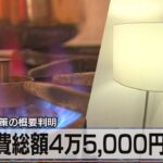 【速報】1世帯4万5000円の支援を表明！電気・ガス・ガソリンで～　