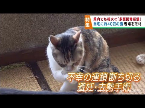 責任持てよ！犬221頭も～近隣苦情で各地で相次ぐ多頭飼育崩壊～