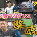 14人合格！きつねダンスファイターズガール旧メンバー7人含む～応募者318人に急増！