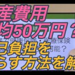 出産一時金50万円に増額！2023年度から