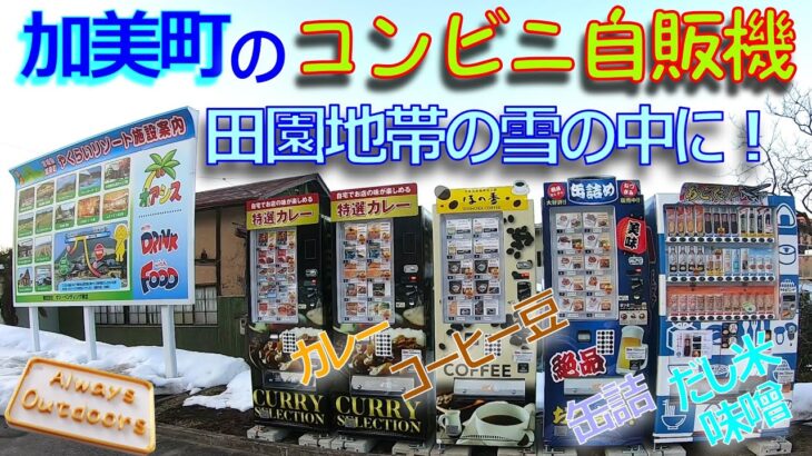 やば！？クジラの自動販売機！？ひそかに横浜の元町にかな・・・