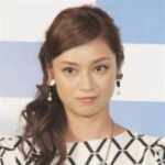 【芸能】平愛梨に出演オファー続々！脱落者相次ぐ「ママタレ勢力図」が激変する