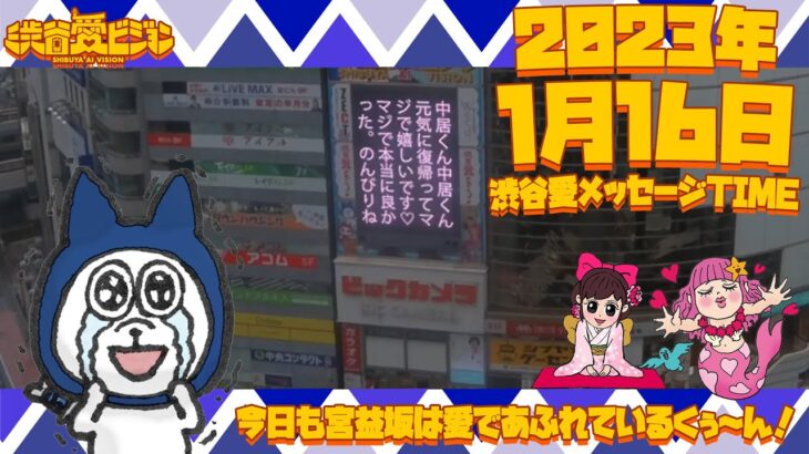 中居正広の復活アピールでWBC「公認サポーター」グラウンドレベル席！