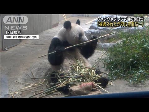 さようなら！シャンシャン観覧の最後の日の最終組～