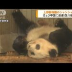 さようなら！シャンシャン上野動物園を出発～成田空港に到着・・・