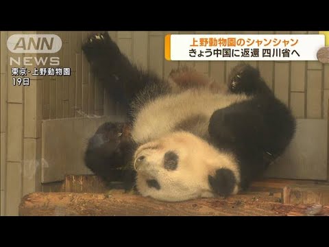 さようなら！シャンシャン上野動物園を出発～成田空港に到着・・・