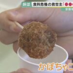 子供に食べさせるな・・・コオロギ粉末給食に苦情殺到！