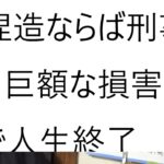 【驚愕】マックのバーガーに「ゴキブリの死骸」本社が調査・・・店舗で混入した可能性認める！！！！