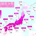 桜開花の季節がやってきた！ 今年はどんな春を迎えるのか？