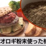 JALにもコオロギ入り機内食か・・・そりゃ炎上なるわなぁ～