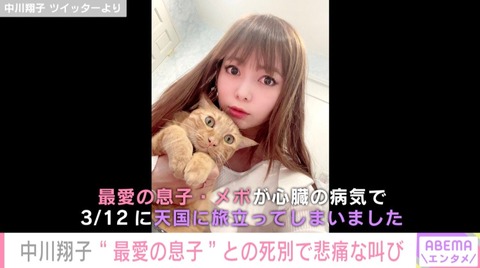 【芸能】中川翔子、愛猫が5歳で天国へ「魂が半分ちぎれたみたい」悲痛な思いを明かす