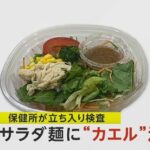 【悲報】サラダにカエルの足が！食べた客がどうなった・・・