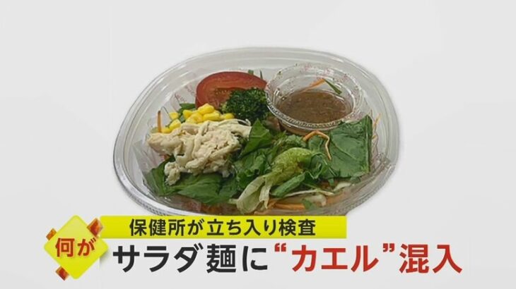 【悲報】サラダにカエルの足が！食べた客がどうなった・・・